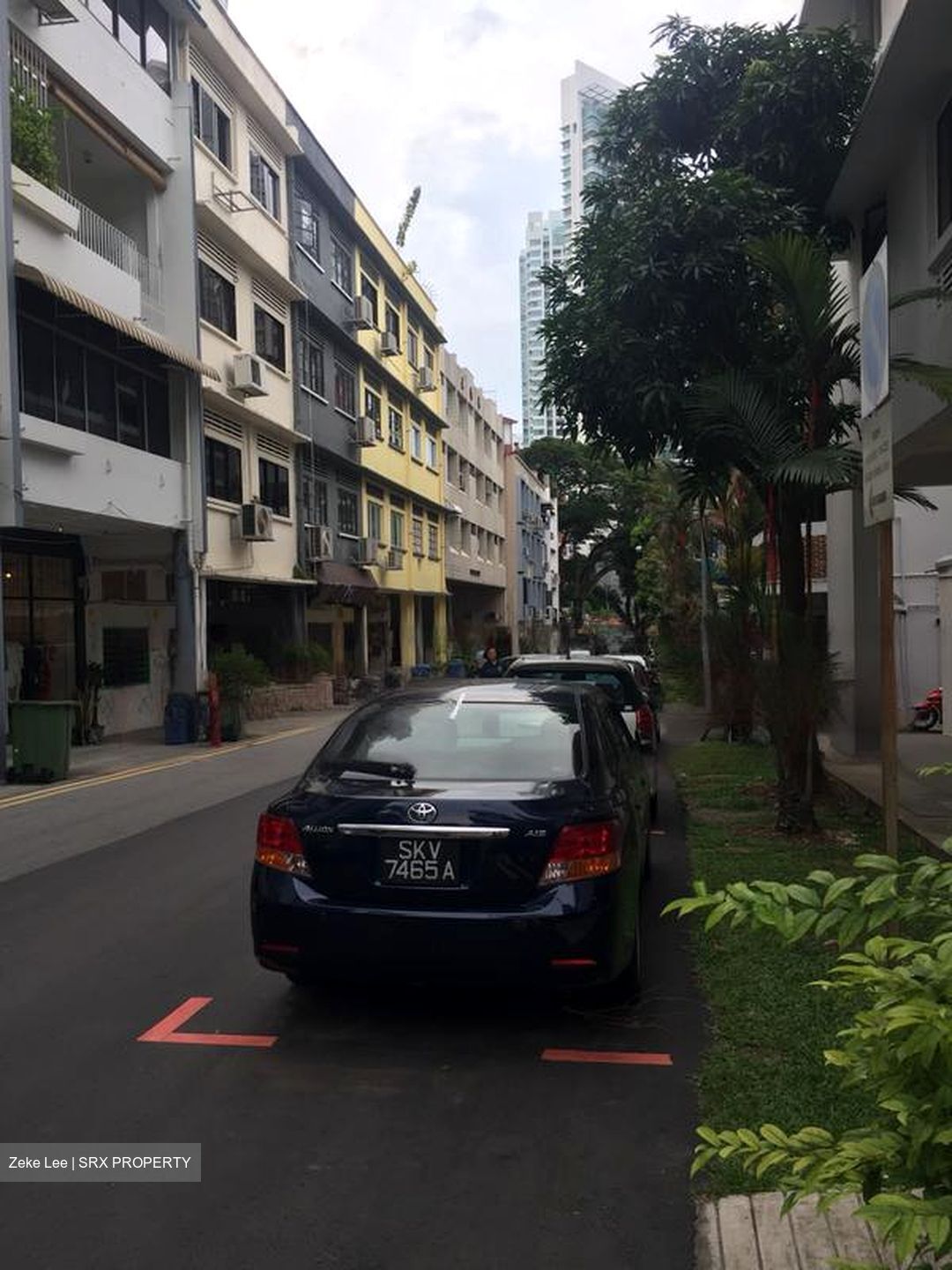 Tiong Bahru Estate (D3), Apartment #637864521